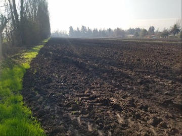 Venta / Terreno Agricola / Lampa
