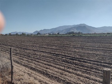 Venta / Terreno Agricola / Lampa