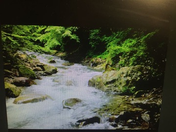 Venta / Terreno Agricola / Lanco