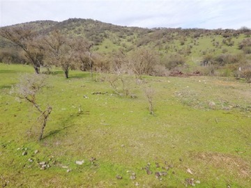 Venta / Terreno Agricola / Las Cabras