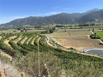 Venta / Terreno Agricola / Las Cabras