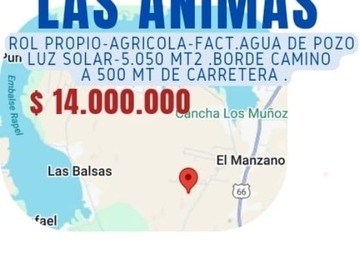 Imagen 5