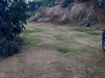 Imagen 7