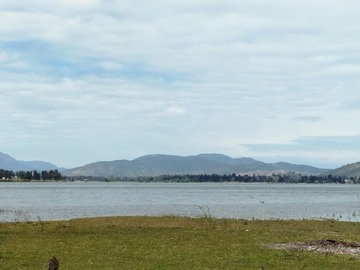 Venta / Terreno Agricola / Las Cabras