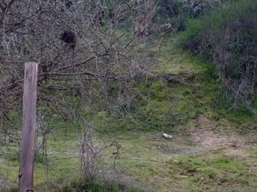 Imagen 6