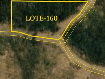 Venta / Terreno Agricola / Las Cabras