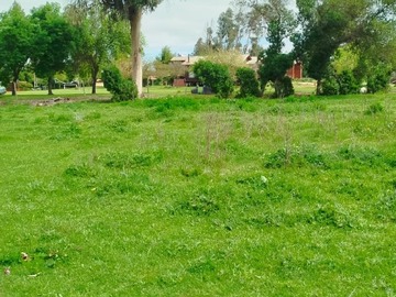 Imagen 11