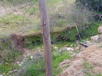 Imagen 7