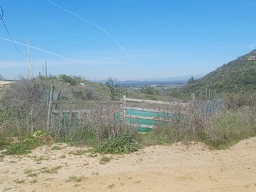 Venta / Terreno Agricola / Las Cabras