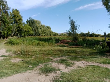 Venta / Terreno Agricola / Las Cabras