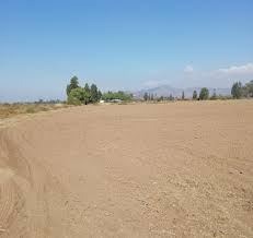 Venta / Terreno Agricola / Las Cabras