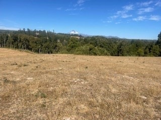 Venta / Terreno Agricola / Lautaro