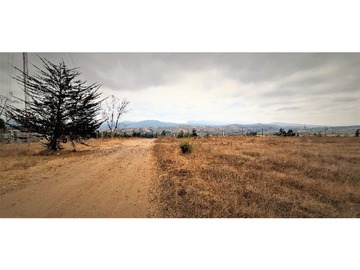 Venta / Terreno Agricola / Limache