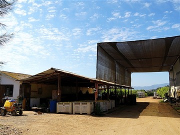 Venta / Terreno Agricola / Limache