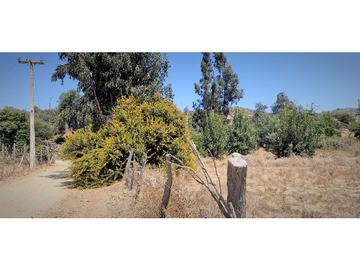 Venta / Terreno Agricola / Limache