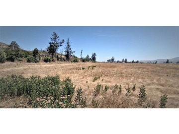 Venta / Terreno Agricola / Limache