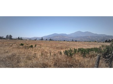 Venta / Terreno Agricola / Limache