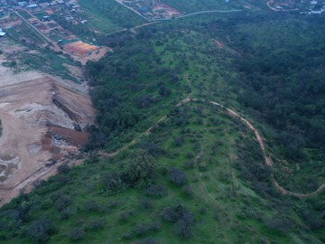 Venta / Terreno Agricola / Limache