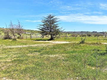 Venta / Terreno Agricola / Limache