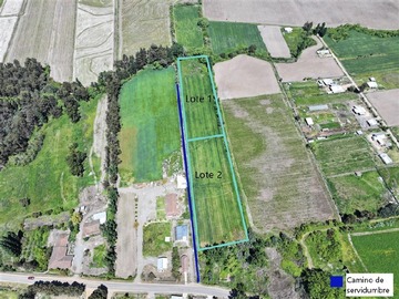 Venta / Terreno Agricola / Linares