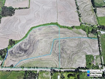 Venta / Terreno Agricola / Linares