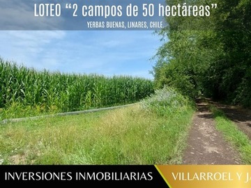 Venta / Terreno Agricola / Linares