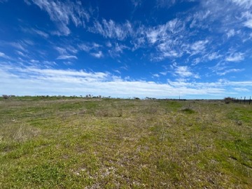 Venta / Terreno Agricola / Litueche