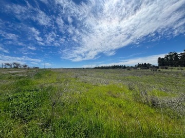 Venta / Terreno Agricola / Litueche