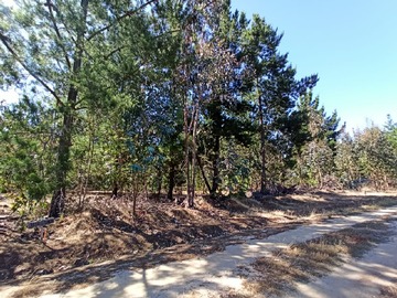 Venta / Terreno Agricola / Litueche