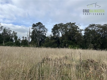 Venta / Terreno Agricola / Llanquihue