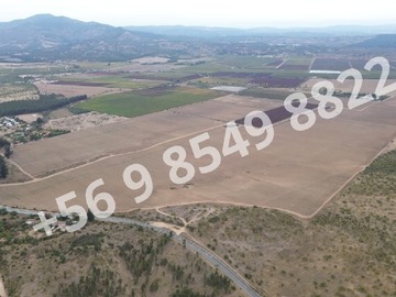 Venta / Terreno Agricola / Lolol
