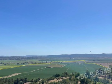 Venta / Terreno Agricola / Lolol