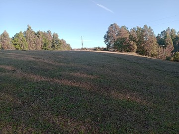 Venta / Terreno Agricola / Loncoche