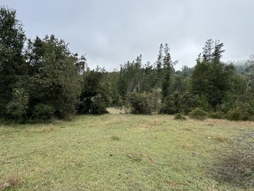 Venta / Terreno Agricola / Loncoche