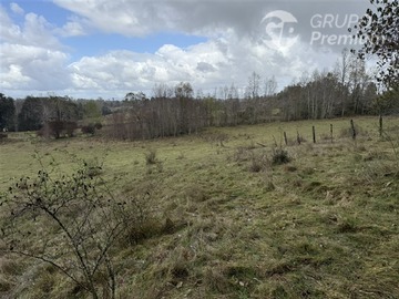 Imagen 6