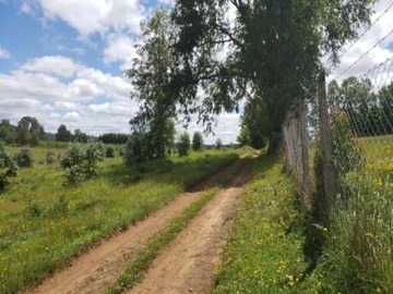 Venta / Terreno Agricola / Loncoche