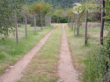 Venta / Terreno Agricola / Longaví