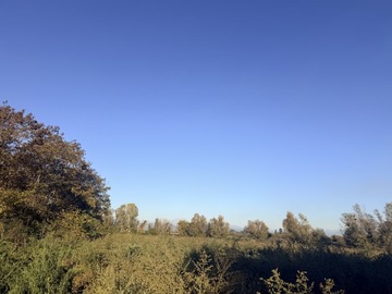 Venta / Terreno Agricola / Longaví