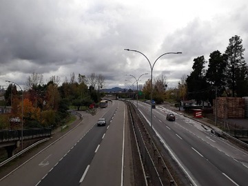Venta / Terreno Agricola / Longaví