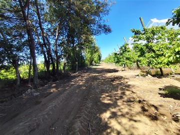 Imagen 11