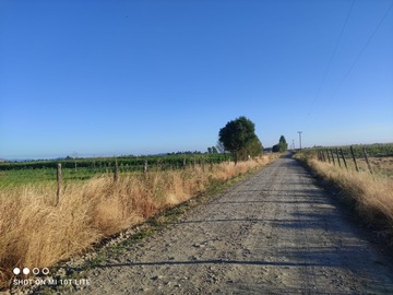 Venta / Terreno Agricola / Longaví