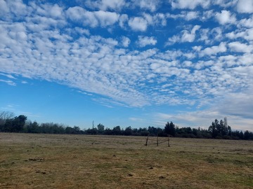 Venta / Terreno Agricola / Longaví