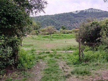 Imagen 6