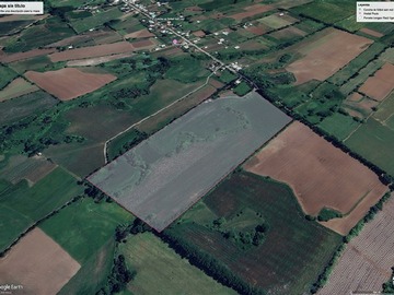 Venta / Terreno Agricola / Longaví