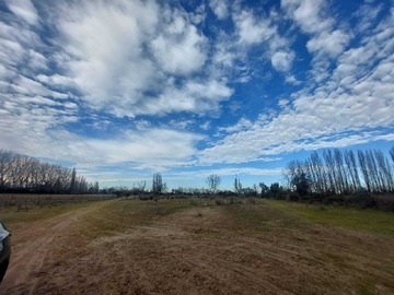 Venta / Terreno Agricola / Longaví
