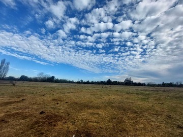Venta / Terreno Agricola / Longaví