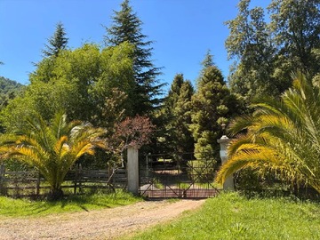 Venta / Terreno Agricola / Longaví