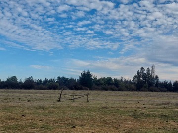 Venta / Terreno Agricola / Longaví