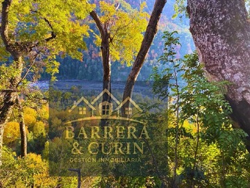 Venta / Terreno Agricola / Longaví