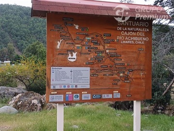 Imagen 11